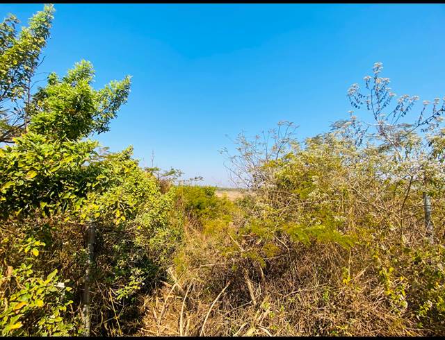 630M² VACANT LAND FOR SALE IN MULEDANE